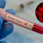 Вирус Эбола может распространиться в Европу и Азию